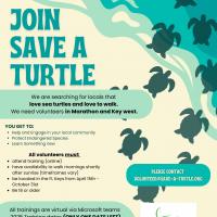 Save a Turtle
