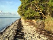 Coco Plum Beach Image