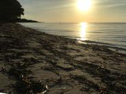 Coco Plum Beach Image