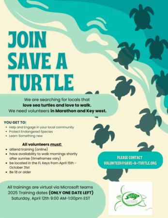 Save a Turtle