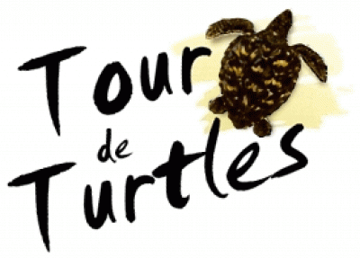 Tour de Turtle