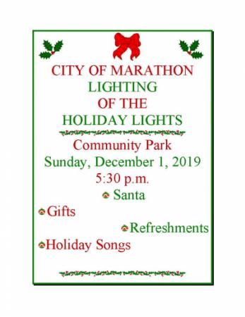 Holiday Lights Flyer