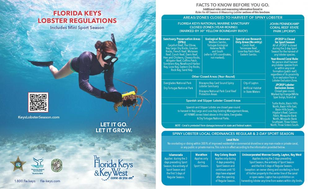 Lobster Season Information Marathon, Florida