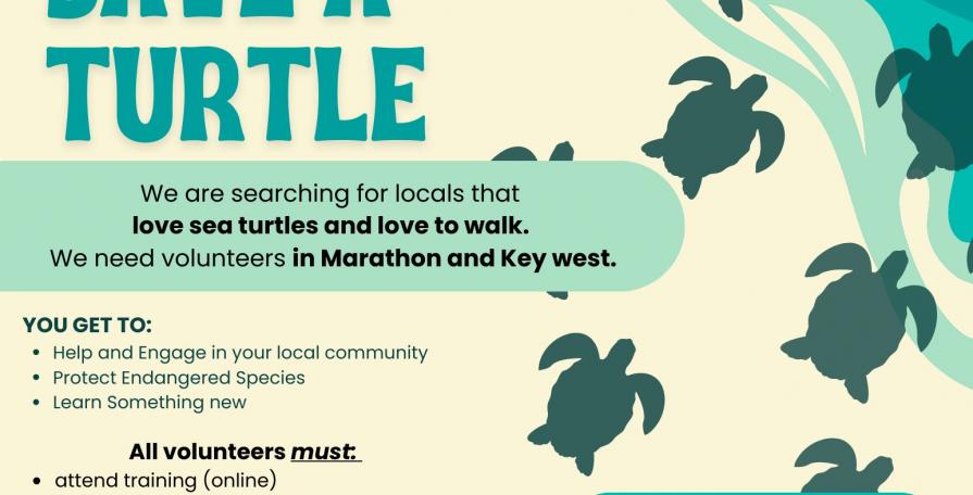 Save a Turtle